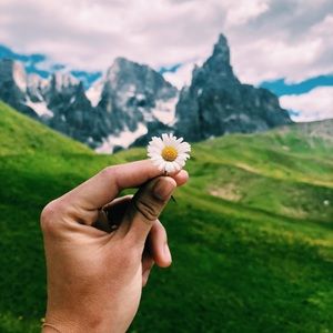 Meet your Posher, Caroline